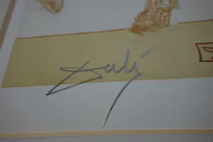 Salvador Dali - Der Kentaur Cacus*Göttliche Komödie kopen? Bied vanaf 850!