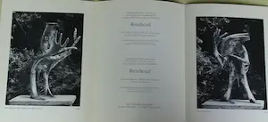 Reinhoud D'Haese - Gesigneerd boek kopen? Bied vanaf 50!