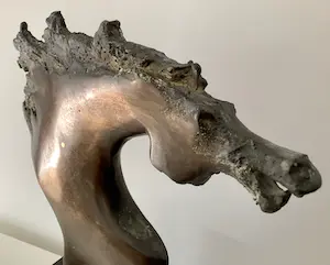 Doko Dokov - Paarden hoofd kopen? Bied vanaf 700!