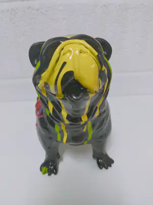 Hannes D'Haese - English bulldog kopen? Bied vanaf 125!