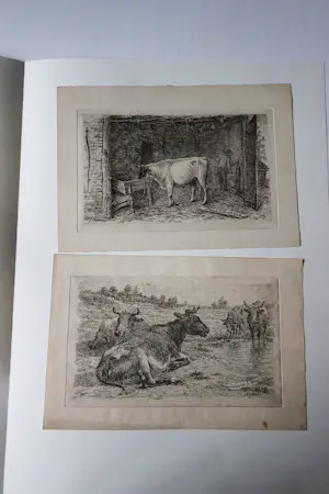 Frans Lebret - 2 fraai gedetailleerde Etsen "Koeien + Stier in stal" - 1908 - in passe partout kopen? Bied vanaf 34!