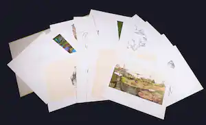 Melle Oldeboerrigter - Map met 2 originele litho's verkauft für € 100!