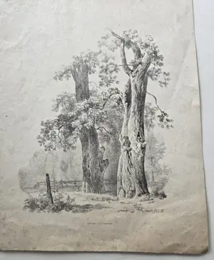 Barend Cornelis Koekkoek - Bomen. Litho. kaufen? Bieten Sie von 20!