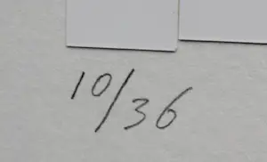 Klaas Gubbels - Foto collage - 1984 (handgesigneerd!) kopen? Bied vanaf 195!