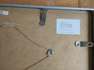 Cees Vis - Brutale vogel kopen? Bied vanaf 50!