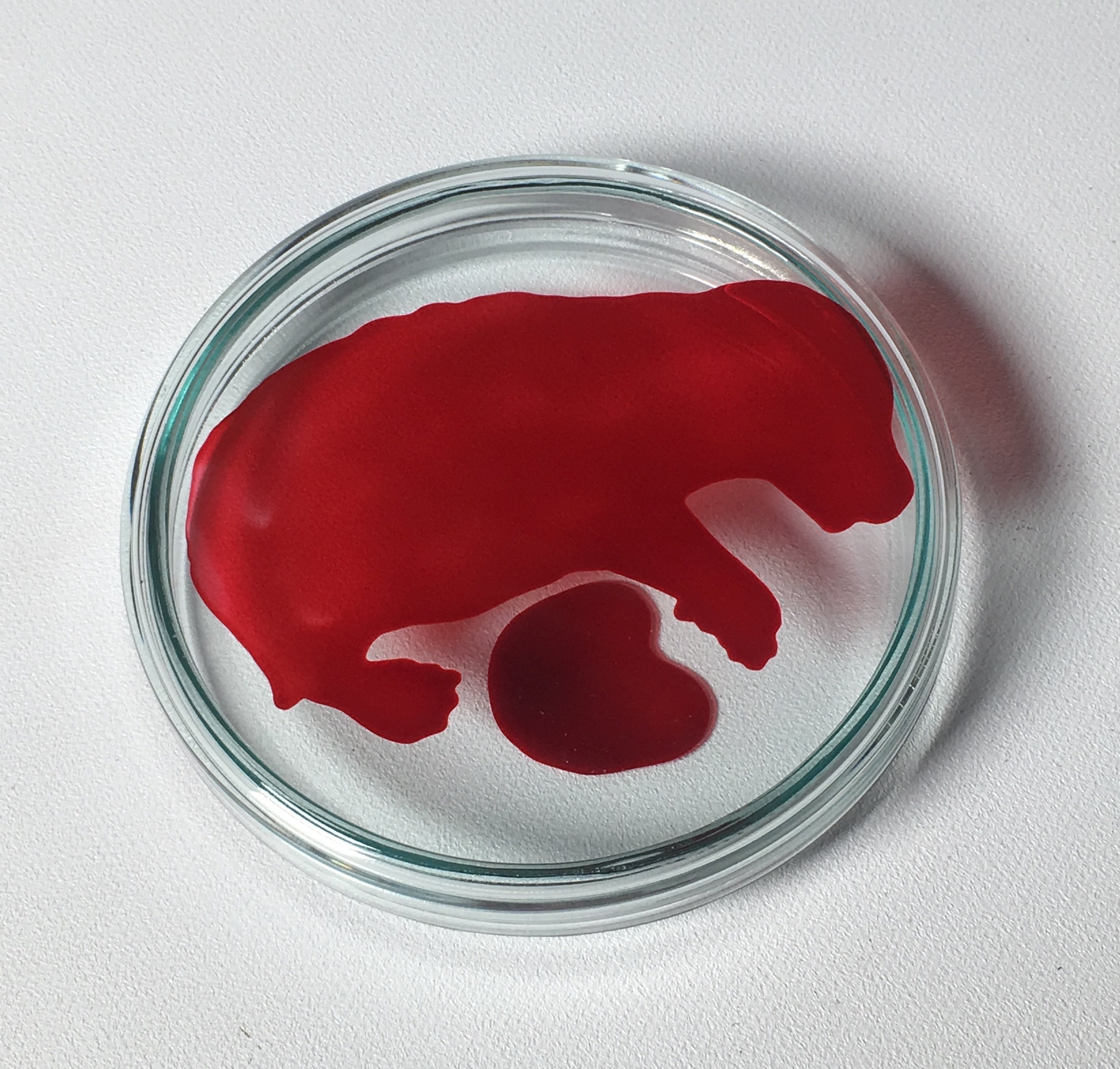 Lisette Verkerk - Beschilderd petrischaaltje, Origins kopen? Bied vanaf 1!