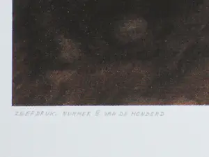 Paul Basart - Echo van de Roos - Zeefdruk kopen? Bied vanaf 50!