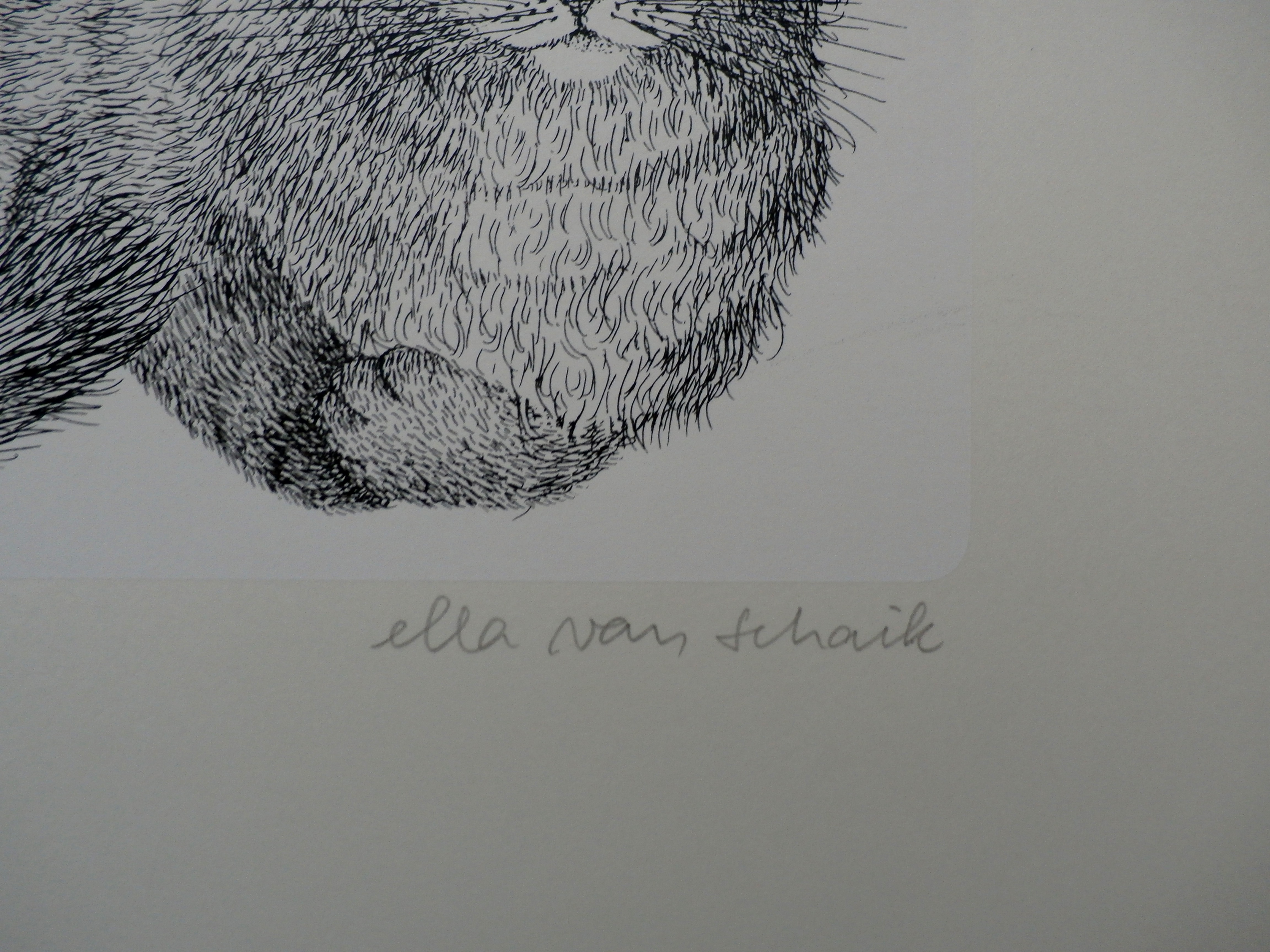 Ella van Schaik - zeefdruk: poes (3 afbeeldingen) kopen? Bied vanaf 45!