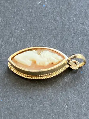 14 karaats geelgouden hanger met camee kopen? Bied vanaf 25!