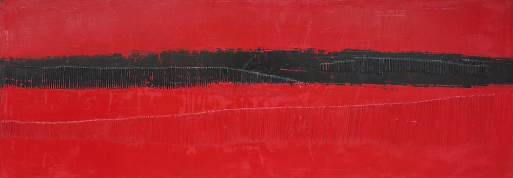 Natacha Pirnay (1969)