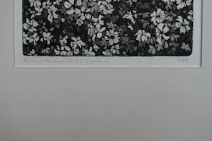 Paulien Wittenrood - GIPSKRUID kopen? Bied vanaf 35!