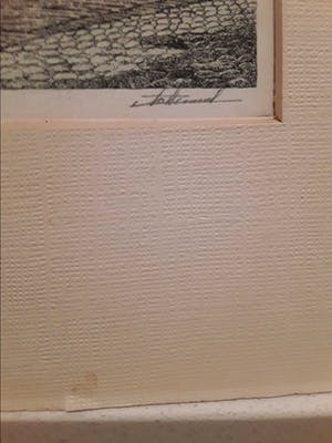 Antoon Hemert - Munt Amsterdam kopen? Bied vanaf 10!