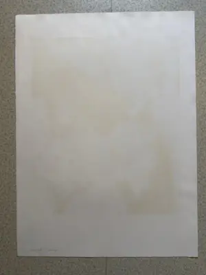 Jorge Soler - Lithographie kopen? Bied vanaf 85!