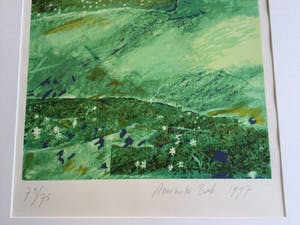 Annemiki Bok - Voorjaar & Zomer | set van 2 kleuren zeefdrukken - ingelijst kopen? Bied vanaf 69!