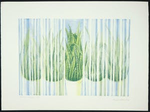 Bertha Haak - Litho, Vrouwentongen (Sansevieria) kopen? Bied vanaf 1!