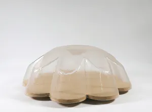 Henk Ovink - Wandobject van MDF en kunststof, Z.T. Bloemvorm kopen? Bied vanaf 1!