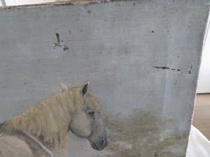 Niet of onleesbaar gesigneerd - Paard in de wei kopen? Bied vanaf 10!