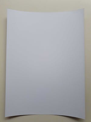 Pablo Picasso - Zwart/wit-foto met een portret van de jonge kunstenaar kopen? Bied vanaf 1!