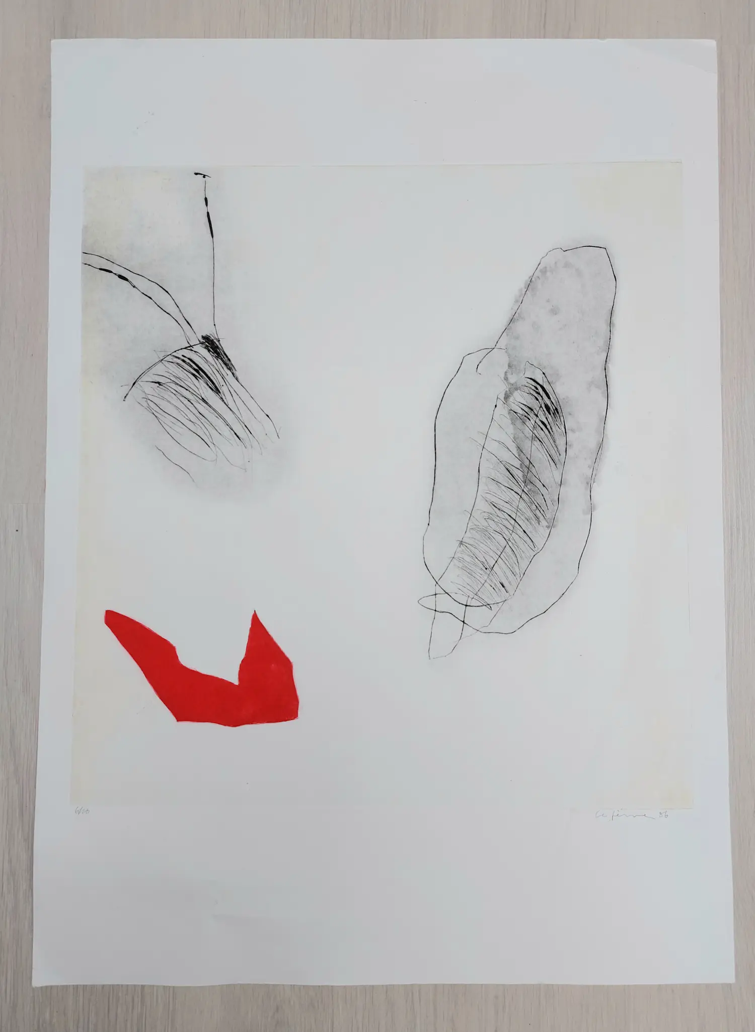 Charlotte le Fevre (1954)