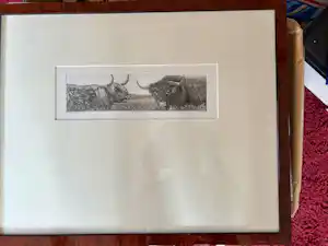 Han van Hagen - echtpaar verkauft für € 90!