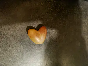 Niet of onleesbaar gesigneerd - LUV-UVO kopen? Bied vanaf 1!