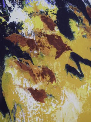 Mattie Schilders - Vormende hand van evolutie - Ingelijst - Groot kopen? Bied vanaf 50!