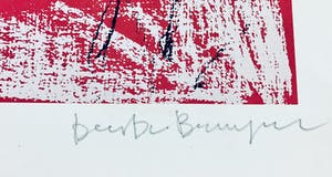 Dees De Bruyne - Homme rouge kopen? Bied vanaf 25!