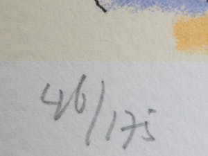 Kees Salentijn - zonder titel kopen? Bied vanaf 70!