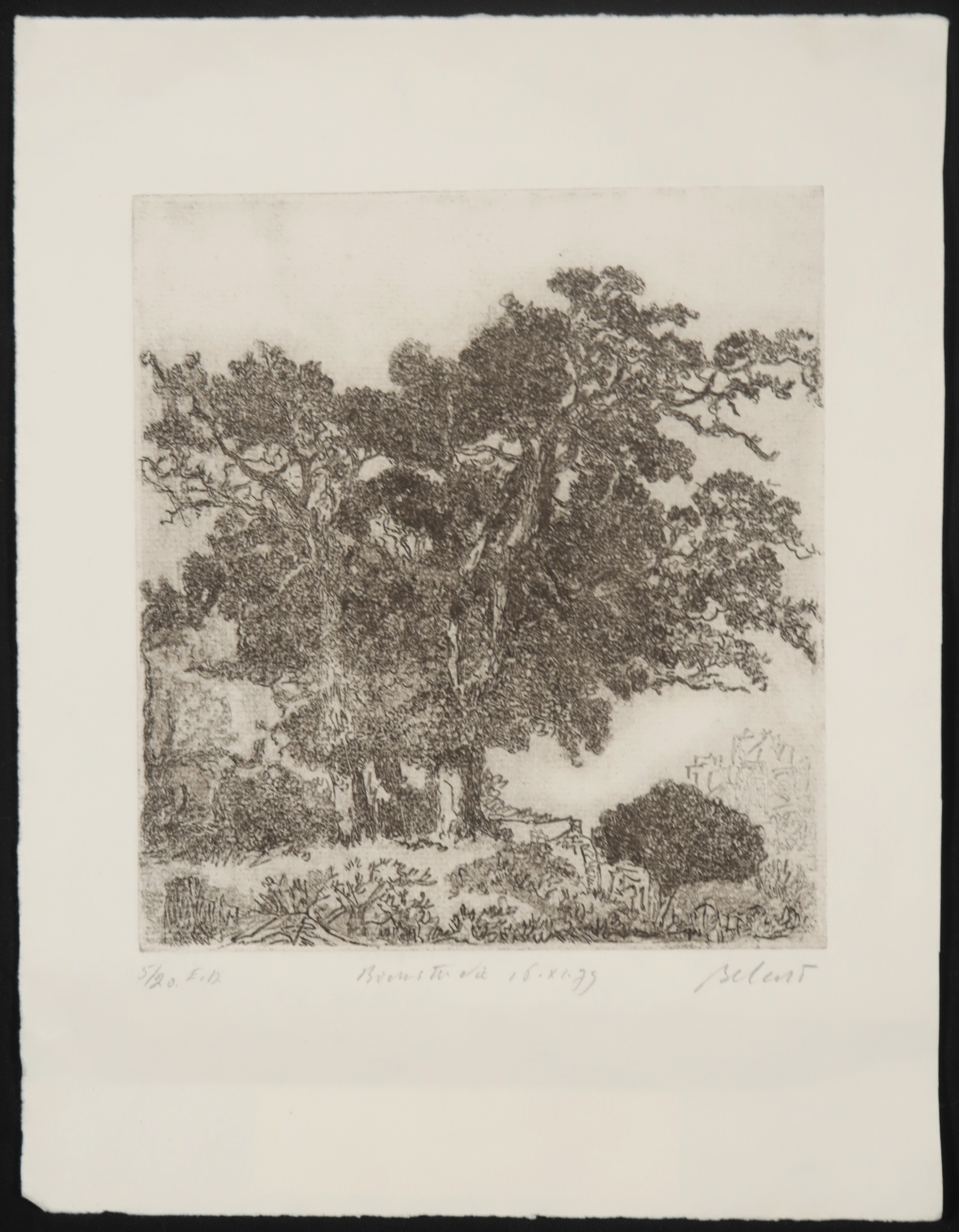 Gerard Bellaart - Lotje (E) met 6 etsen op papier kopen? Bied vanaf 1!