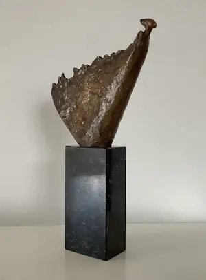 Tjikkie Kreuger - Windgodin kopen? Bied vanaf 225!