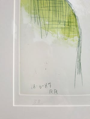 Roger Raveel - De fotografe, aquatint ets (netjes ingelijst) kopen? Bied vanaf 750!