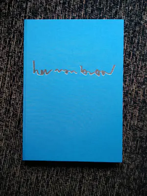 Herman Brood - woedend licht met zeefdruk kopen? Bied vanaf 150!