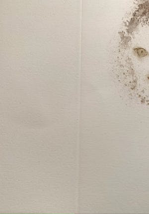 Leonor Fini - Mere et enfant kopen? Bied vanaf 25!