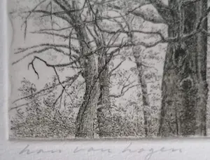 Han van Hagen - Bomen in landschap kopen? Bied vanaf 10!