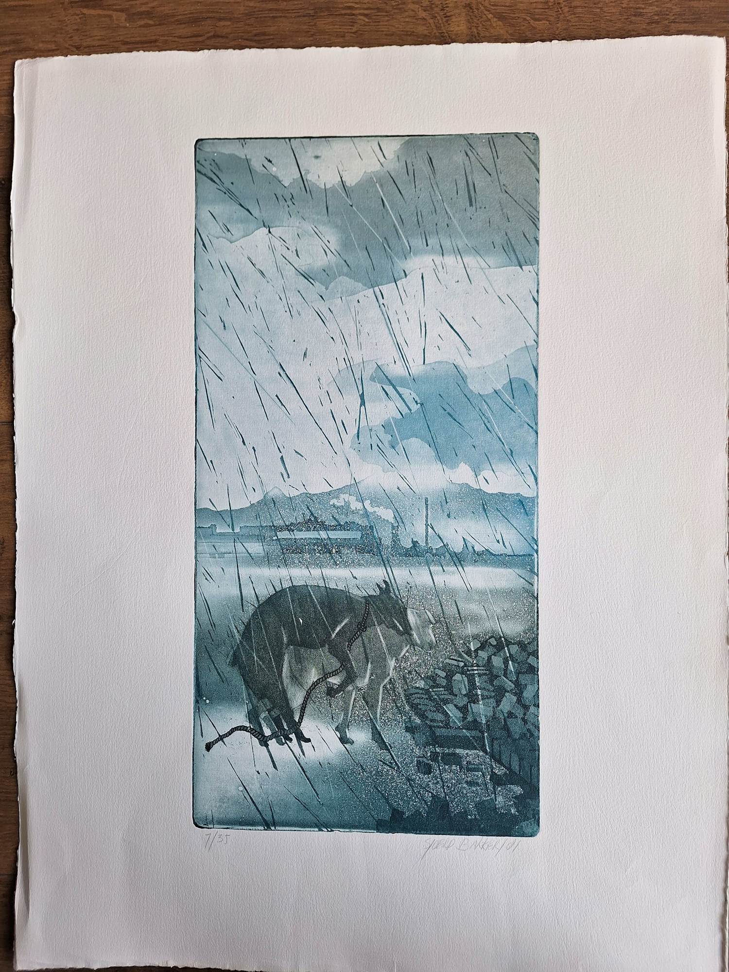 Sjoerd Bakker - Onbekend kopen? Bied vanaf 50!