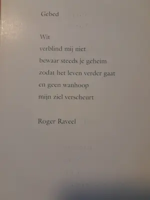 Roger Raveel - Doodsprent kopen? Bied vanaf 129!