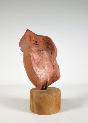 Niet of onleesbaar gesigneerd - Portret van terracotta op houten sokkel kopen? Bied vanaf 1!