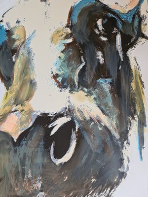 Theo Onnes - Cow - gesigneerd - 75 ex - groot kopen? Bied vanaf 1!