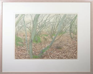 Siemen Dijkstra - Houtsnede, Vroeg voorjaar in eindig kienvenbos - Ingelijst kopen? Bied vanaf 100!