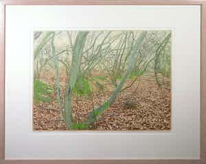 Siemen Dijkstra - Houtsnede, Vroeg voorjaar in eindig kienvenbos - Ingelijst verkocht voor € 100!