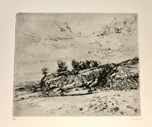 Adri Dijkhorst - Noord Spaanse kust kopen? Bied vanaf 50!