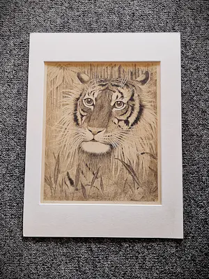 Henri Verstijnen - omstreeks 1930 - fraai gedetailleerde ETS "Tijgerkop" potloodgesigneerd kopen? Bied vanaf 35!