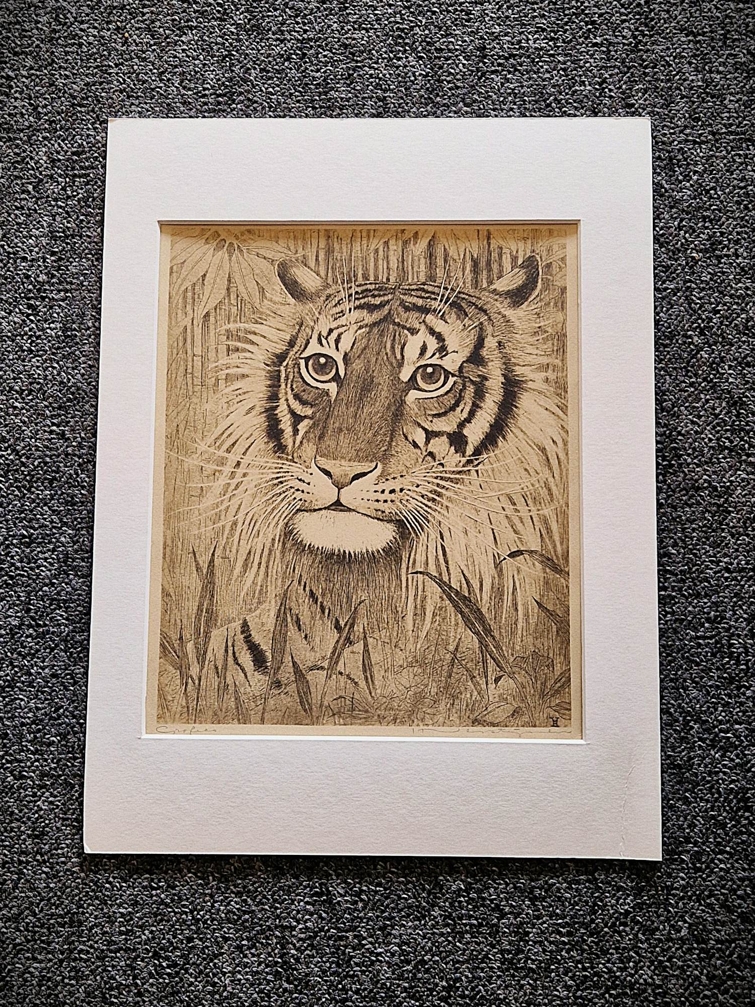 Henri Verstijnen - omstreeks 1930 - fraai gedetailleerde ETS "Tijgerkop" potloodgesigneerd kopen? Bied vanaf 35!