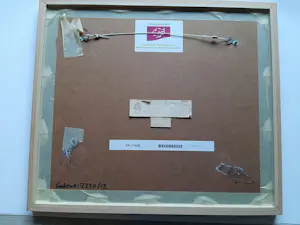 Alexander Lichtveld - Aquarel, Paus. kopen? Bied vanaf 40!