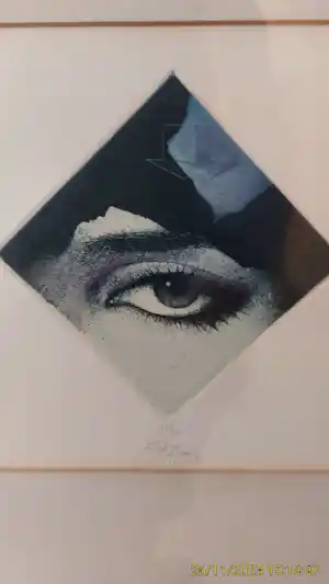 Walter Brems - Kleurenets het oog 45/75 verkocht voor € 45!