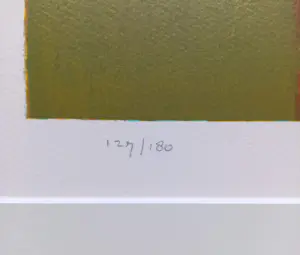 Ton Schulten - Zonovergoten, zeefdruk (prachtig ingelijst) kopen? Bied vanaf 495!