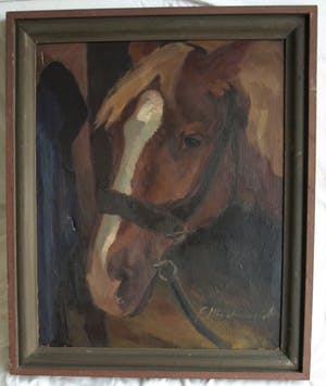 Niet of onleesbaar gesigneerd - Olieverf op doek , “Portret Paard” – gesigneerd & ingelijst kopen? Bied vanaf 10!