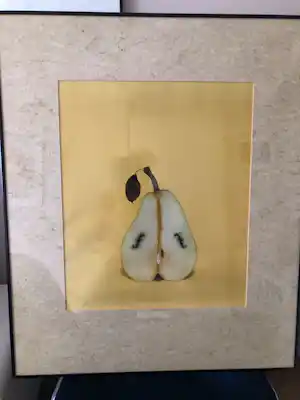 Frans van Lent - Le violon de Man Ray kopen? Bied vanaf 40!