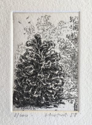 Simon Koene - Jongetje met dennenappel kopen? Bied vanaf 10!