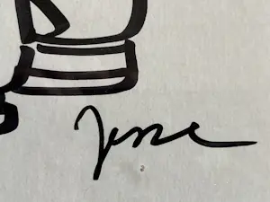 Jesse van Muylwijck - BEN JIJ OOK ZO OPGEWONDEN OVER HET FINANCIERINGSPROCES kopen? Bied vanaf 50!